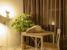 バクのひと眠り/