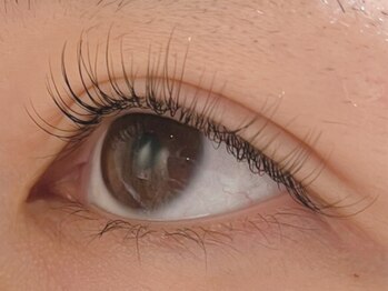 カラン 焼津店(CALIN)/ラスティングカール