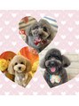 フェルナ(FERNA)&nbsp;我が家のボーイズ☆