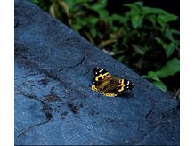 足楽 in 芝大門/