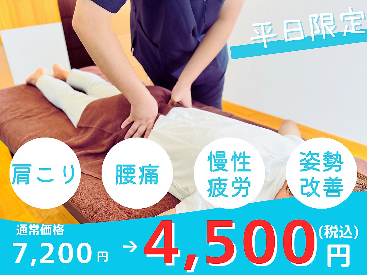 値下げしました！エステサロン　EMS WAVEWAVE EMS スリム エステ | 理美容用品の総合商社 株式会社武田