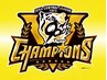 【阪神優勝記念特別クーポン】痩身エステ全身まるごと120分→9700円！！