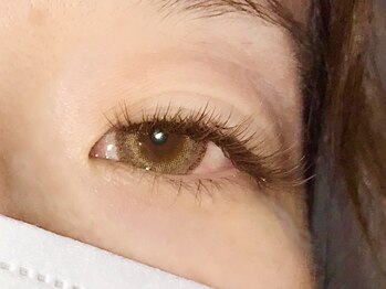 まつげエクステサロン クロエ(Chloe)/カラーフラットラッシュ新色