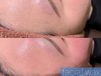 レーヴ(REVE)/フェイシャルワックス