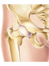 フジ 整体院(FUJI)/股関節の違和感