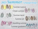 Spring定額コース