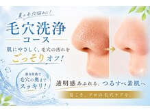 VS28スキンケアスタジオ バリイン 銀座(BALI IN)