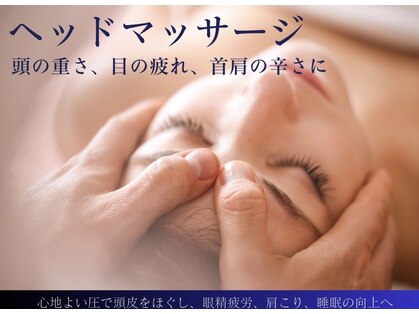 モミ(MOMI)の写真