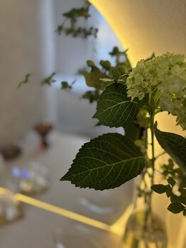 キノトミ(kinotomi)の写真/触れることで心身がゆるみ、こわばっていた筋肉がほどけ、滞っていたリンパや血液の流れが巡りはじめます。