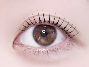 イエル 三軒茶屋(iels)/ラッシュリフト【まつげパーマ】