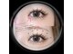 シーシー ネイル アンド アイラッシュ(CeCe Nail&eyelash)の写真