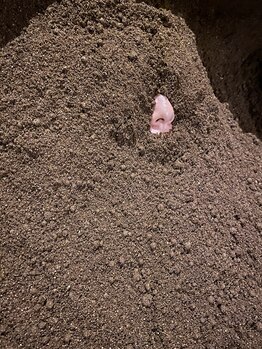 ヌッカ 学芸大学店(Nucca)/