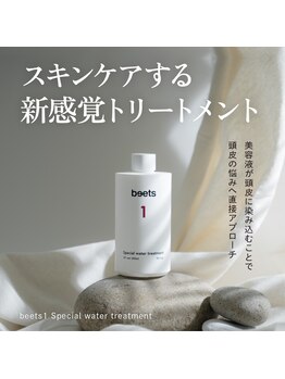 エルミオ エスパシオ ミロク(El mio espacio 369miroku)/beets1 special water treatment