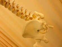 坂口カイロプラクティック整体院/整体/ヘッドスパ/腰痛/肩こり