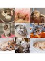 マコア 西調布店(Macore) 猫が好きで携帯のトップ画は猫盛りだくさんです(笑)