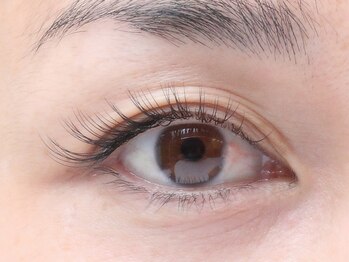 アラシ(Arashi)/まつエク・シングル80本