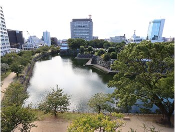 トイヴォ(TOIVO)/