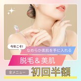 セクション(SECTION)