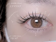 マミノン 武蔵小杉(Maminon)/LEDで上下マツエク！華やか上品