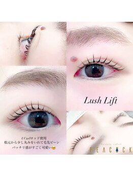 ピーコック(peacock)/lashlift