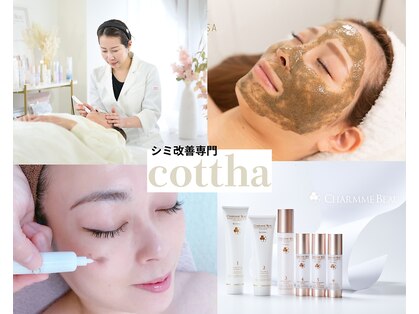 コトハ(cottha)の写真