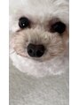 エース(Ace)&nbsp;愛犬のアンニンちゃんです！