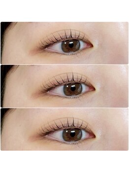 プリュムアイラッシュ(plume eyelash)/パリジェンヌ