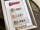 アドアーネイル(adore nail)の写真