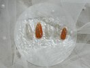 定額ベーシックアート
