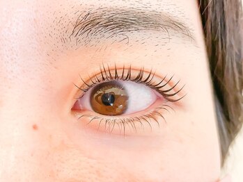 ニコットラッシュ 京橋店(nicott lash)/まつげパーマ［京橋・梅田］