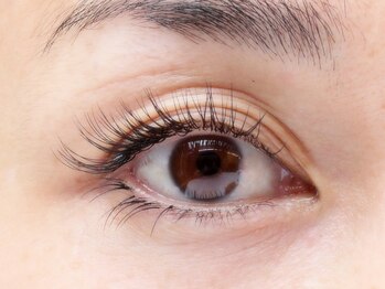 アラシ(Arashi)/☆まつエク120本☆