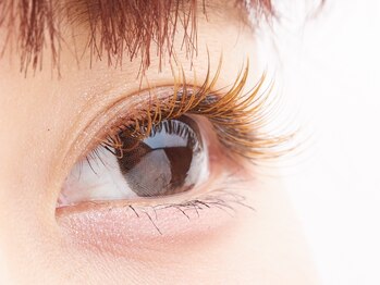 ダリ ネイルアンドアイラッシュサロン(Dali)/ブラウンエクステ