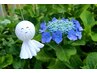 【6月迄】選べる初夏のフェイシャル＆全身アロマボディ&ヘッド180分￥18900