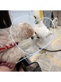 カレン アイビューティー(Karen Eyebeauty)&nbsp;推し様のわんちゃんと愛犬の夢のコラボ☆夢見たい…。