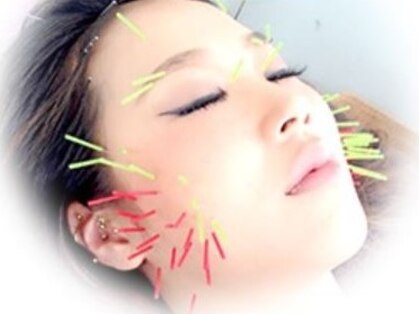 ルディア(Ledia)の写真