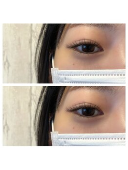 サフィール ハナレ(Saphir.h)/Ｃカール100本