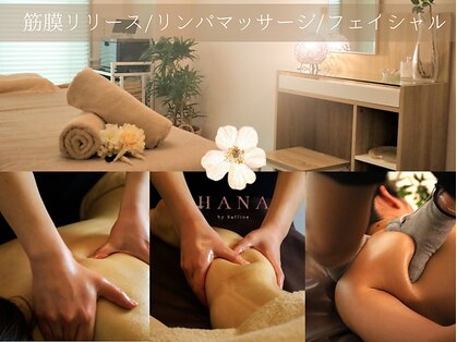 ハナ(HANA)の写真