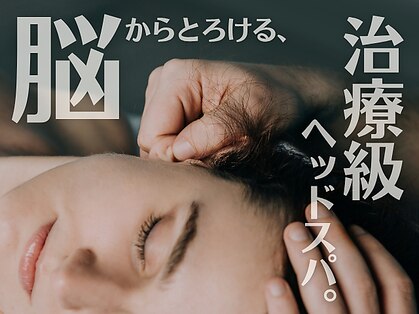 ガーベラ(Gerbera)の写真