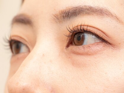 ロゴス(LOGOS)の写真