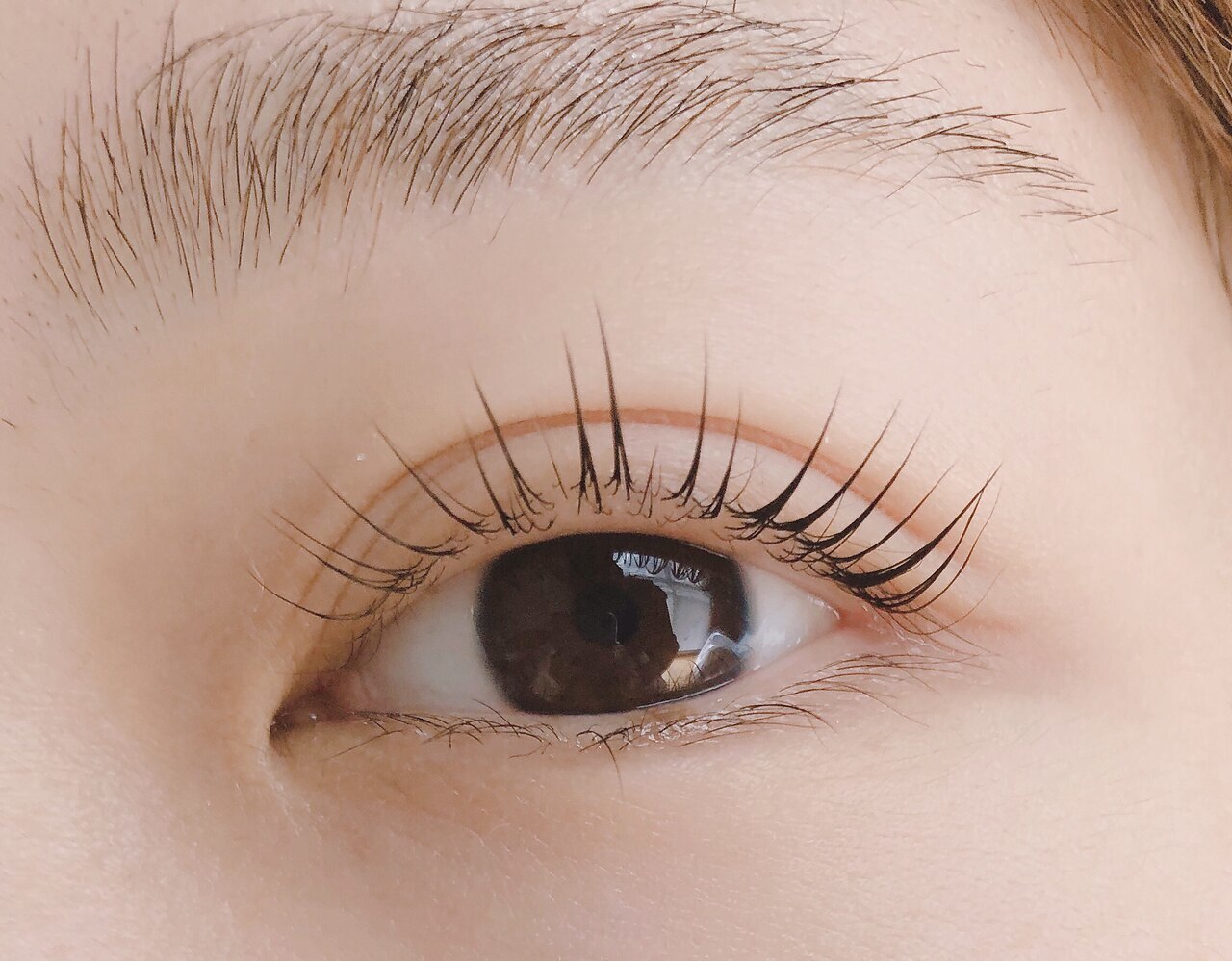 【定番☆】似合わせラッシュリフト（コーティング仕上げ）\7000→\5500