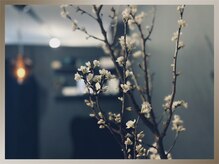 オット(otto)/四季を彩る空間で癒しの施術◎