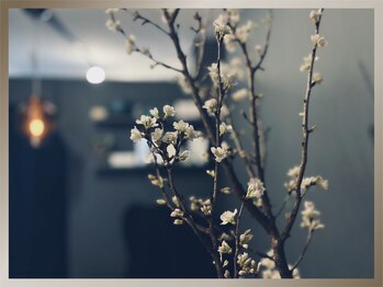 オット(otto)/四季を彩る空間で癒しの施術◎