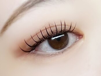 ケアツリー(CARE Tree)の写真/自まつげへの負担を軽減したモチ重視したフラットラッシュで自然でくるんと上向きなまつげを実現★