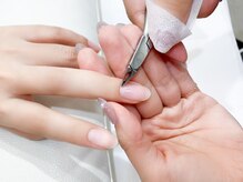 シャイニージェルの特徴 ３