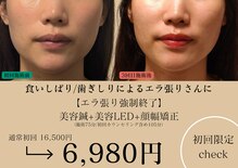 やなけん 亀戸店