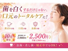 ホワイトニングショップ くずは店
