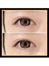 ティーイー(TE)/LEDセーブル80本
