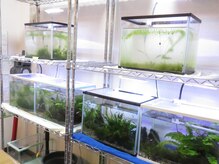 らくらく庵/店内