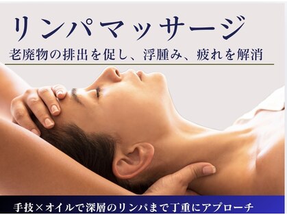 モミ(MOMI)の写真