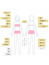 ブルー(BLEU)/女性◆上半身